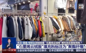 寒潮來襲羽絨服市場亂象頻出：高校爆款與質量隱患并存引關注