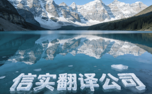 信實(shí)翻譯公司：權(quán)威資質(zhì)與專業(yè)團(tuán)隊(duì)，證件翻譯領(lǐng)域的優(yōu)選伙伴