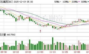 黑石集團(tuán)蘇世民：數(shù)據(jù)中心業(yè)務(wù)穩(wěn)健保守，非泡沫式投資