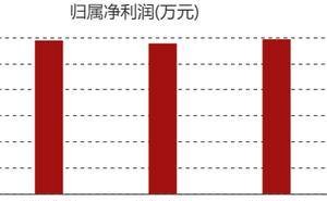 箭牌家居完成董事會換屆 謝岳榮掌舵 2024年凈利跌至七年谷底