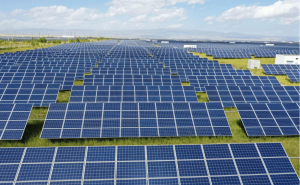 對話張兵教授：馬斯克中國光伏考察之行，探尋中國光伏領先全球的奧秘