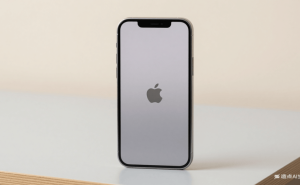 蘋果50周年將至：庫克聚焦AI布局，詳解高管變動與繼任規劃