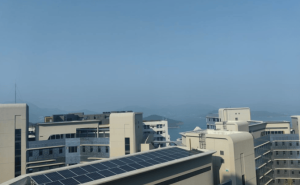 廖欣悅香港行：探秘AI前沿，領略Web3.0魅力，邂逅科技人文交融之美