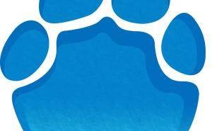 鍋圈創始人楊明超掌舵宋河酒業，新團隊引領品牌開啟復蘇新征程