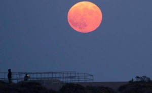 馬斯克欲在月球建電磁彈射裝置發(fā)射AI衛(wèi)星，現(xiàn)實(shí)難度與爭(zhēng)議并存