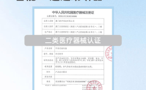 2026年助聽器怎么選？4款實(shí)測好評產(chǎn)品推薦，幫老人找回清晰有聲世界