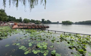 2026北京旅行社十大榜單揭曉！珈程國旅領銜，入境接待誠信服務獲贊