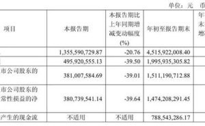 125億身家安徽白酒首富倪永培換帥 銷售老將楊照兵能否力挽狂瀾？