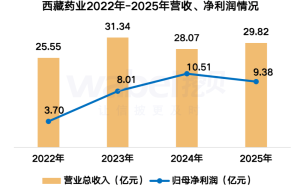 西藏藥業(yè)2025年營收增長凈利潤降，董事長漲薪12萬職工人均16萬
