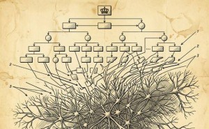 Adobe CEO任職18年將卸任 創(chuàng)紀(jì)錄營收下AI戰(zhàn)略引投資者關(guān)注