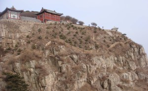 青綠之間見初心：張耀南用一生為泰山織就生態(tài)錦繡畫卷