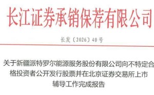 新派能源再啟IPO征程：72歲創(chuàng)始人交棒 44歲少帥何嘉悅接掌帥印