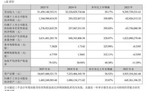 萬(wàn)辰集團(tuán)2025年業(yè)績(jī)飆升，90后總經(jīng)理王澤寧薪酬228.6萬(wàn)超董事長(zhǎng)
