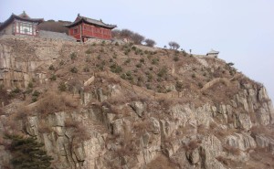 青綠滿山映初心：張耀南用一生踐行綠化夢 精神永駐泰山間