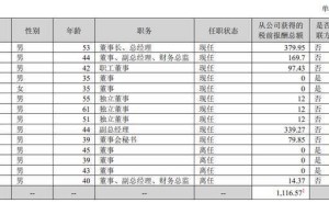 合康新能2025年業(yè)績飄紅，營收凈利雙增，董事長陸劍峰薪酬上漲