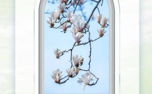 雷軍辭任金山云董事長等職 鄒濤接棒 2025年金山云業(yè)績表現(xiàn)如何？