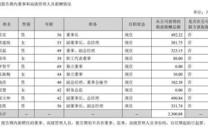 東方財(cái)富2025年?duì)I收凈利雙增 董事長(zhǎng)新聞博士出身年薪492萬(wàn)