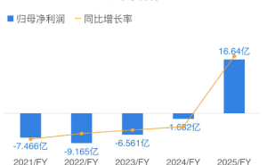 連連數(shù)字2025年營收利潤雙增，CEO辛潔與財務總監(jiān)魏萍辭職，創(chuàng)始人章征宇再掌舵