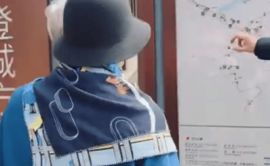 梅耶·馬斯克游長城贊“實在令人驚嘆” 還分享長城雪糕體驗