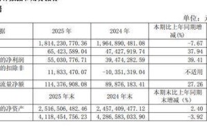 飛樂音響2025年報(bào)出爐：營收降7.67% 劉爽接任董事長后凈利增近四成