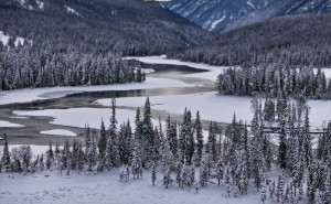 2026阿勒泰親子游新選擇：這6家口碑旅行社如何精準(zhǔn)匹配家庭需求？