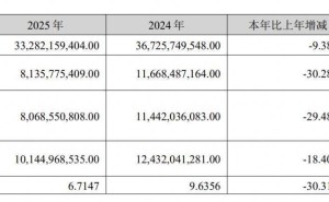 邁瑞醫(yī)療2025年業(yè)績下滑，七旬董事長李西廷薪酬縮減超六百萬