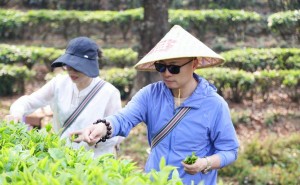 “益起同行·共筑美好”西雙版納茶山行：共赴茶園盛會 助力茶產(chǎn)業(yè)新發(fā)展