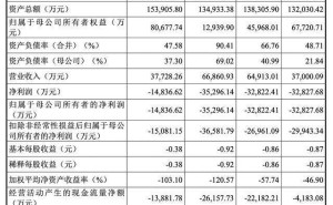 銳石創(chuàng)芯科創(chuàng)板IPO中止：90后董事季飛與董事長同校，履歷豐富