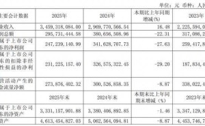 丸美生物2025年營收增長利潤下滑 CFO薪酬反超董事長引關(guān)注