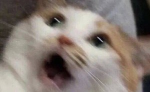 1元起打造“富豪朋友圈”？實(shí)況圖售賣(mài)產(chǎn)業(yè)鏈背后的侵權(quán)亂象