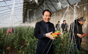 許家印旗下最值錢資產恒大物業將出售，資不抵債下他能分到幾何？