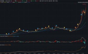從龍口車間到萬億市值：中際旭創崛起書寫山東智造新傳奇