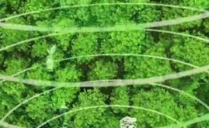 湖南黃金一季度業績亮眼 董事長退休換屆 ESG投入彰顯責任擔當