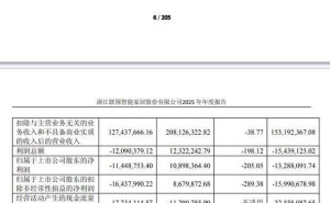 聯翔股份2025年營收凈利雙降 董事長卜曉華薪酬縮水 曾涉多領域任職