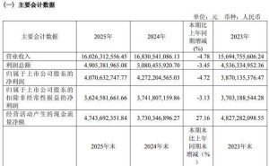 公牛集團2025年業績承壓，智能與新能源雙核驅動未來增長