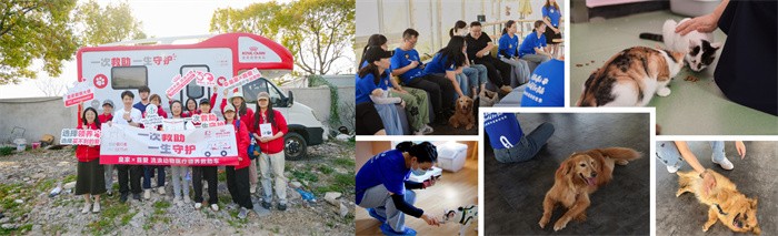 瑪氏通過不同類型項目提升流浪動物福祉(1).jpg